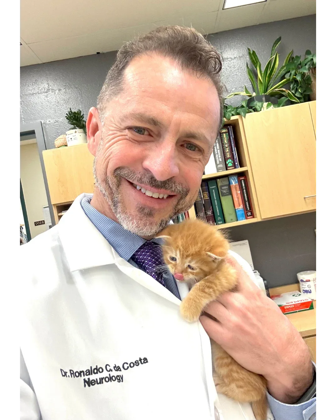Dr. Ronaldo Casimiro da Costa com um filhote de gato