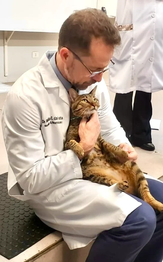 Dr. Ronaldo Casimiro da Costa em aula prática avaliando a marcha de um gato