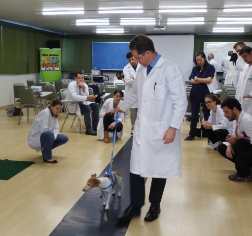 Avaliação da marcha durante aula prática