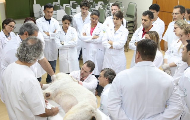 Demonstração de colheita de líquido cerebrospinhal