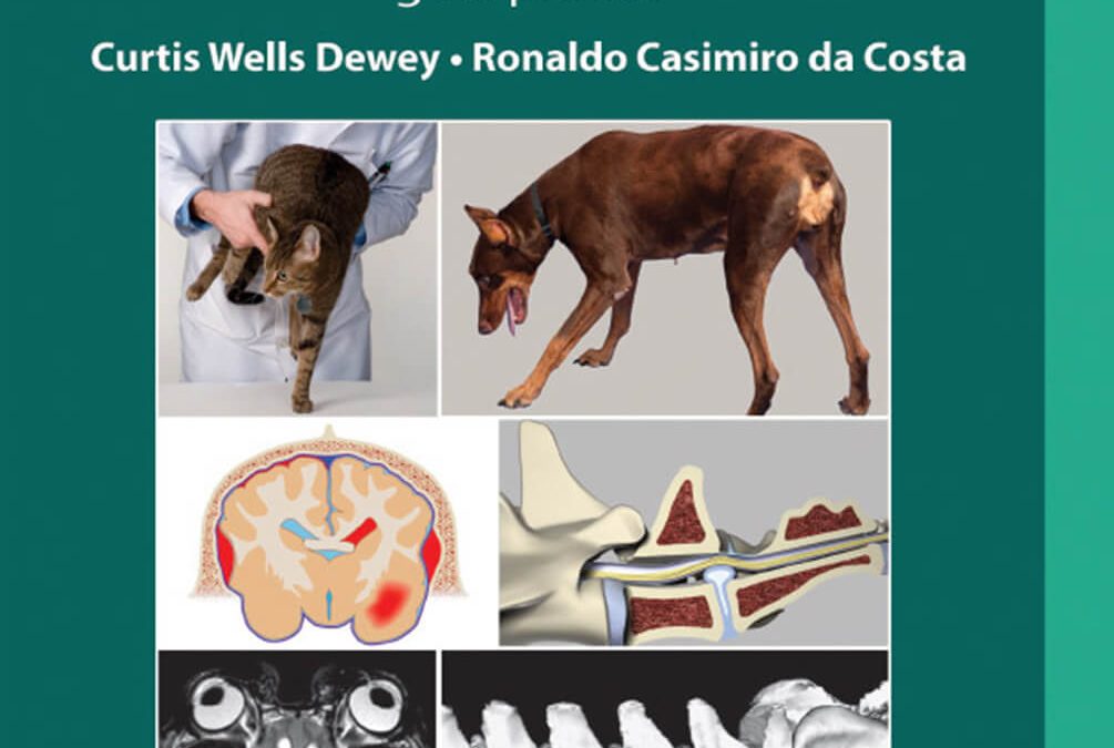 Distúrbios da cauda equina (2017)