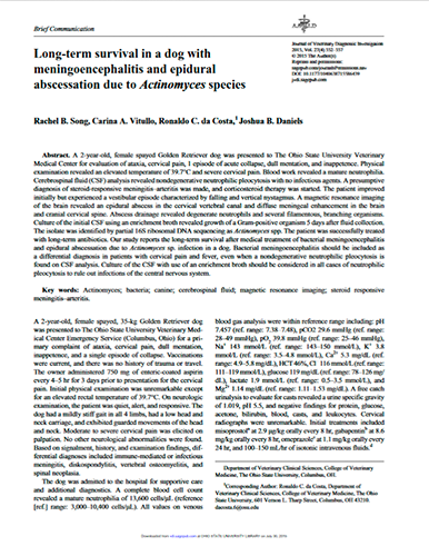 Long term survival in a dog with meningoencephalitis and epidural abscessation due to Actinomyces sp. Journal of Veterinary Diagnostic Investigation (2015)