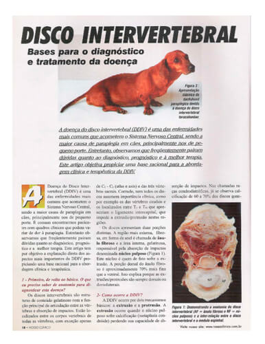 Disco Intervertebral: bases para o tratamento da doença. Nosso clinico (2001)