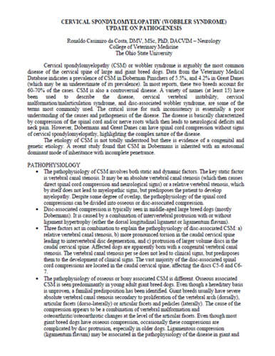 Cervical spondylomyelopathy (wobbler syndrome) – Update on pathogenesis and diagnosis